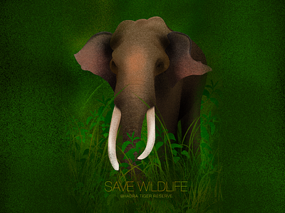 Save Wildlife