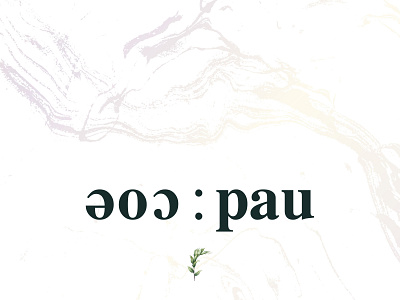 eoc:pau branding design icon illustration logo vector