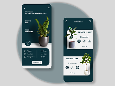 Plants Shopping and Reminder App UI