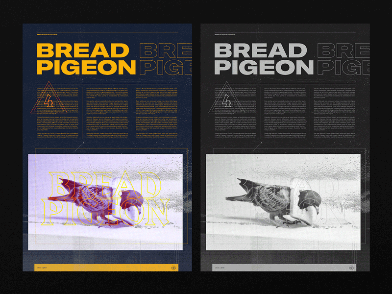Bread Pigeon bread duotone grid layout pigeon poster print texture type typography
