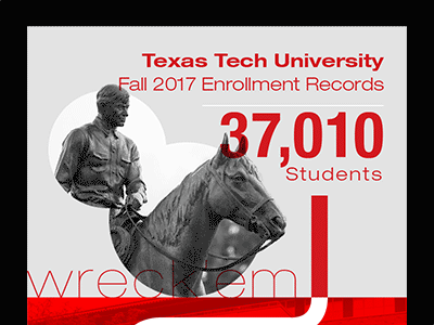 TTU Enrollment Infographic 2d animal animation branding design flat infographic typography university web