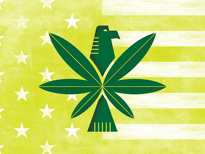 Marijuana in the U.S. america bird design eagle flag flat illustration marijuana plant pot print texture usa