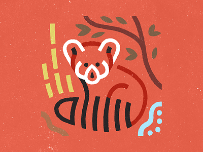 Red Panda art design flat graphic design icon illustration