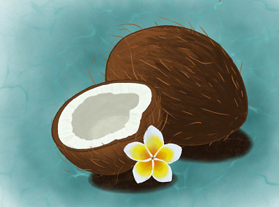 Coconut & plumeria illustration