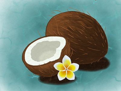 Coconut & plumeria