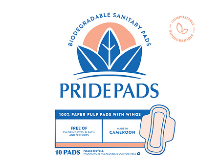 ppt on sanitary pads business plan pdf