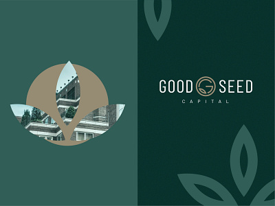 Good Seed Capital: Graphics