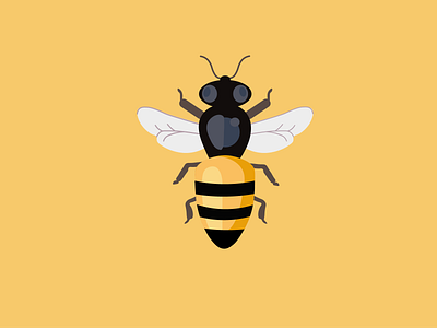 Wasp art design flat icon illustration illustrator insect minimal wasp wings