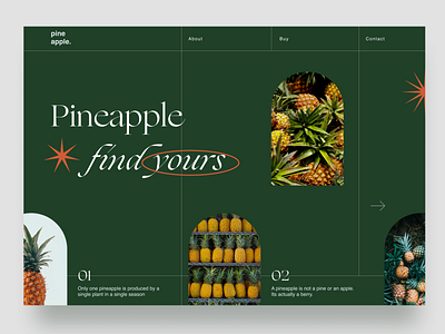 Pineapple food fruit pineapple ui ux web webdesig website website design
