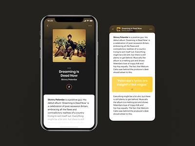 iOS Music App. Article app branding design ios iphone mobile screen ui