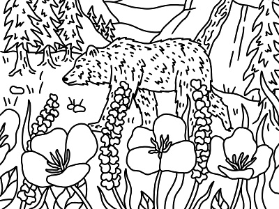 Yosemite Coloring Book Page close up california coloring book drawing grizzly bear half dome illustration landscape line art mountains national parks nature outdoors yosemite