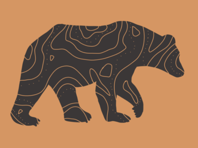 Topo Bear adobe draw bear design illustration topography