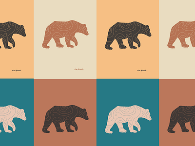 TOPO Bear color study animals bear color color palette grizzly illustration nature pnw topo topography wild