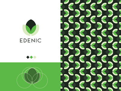 Edanic color geomatriclogo geometric design gridlogo icon leaf leaflogo logomark logotype modern logo nature logo newconcept organiclogo pattern planting symbol vector
