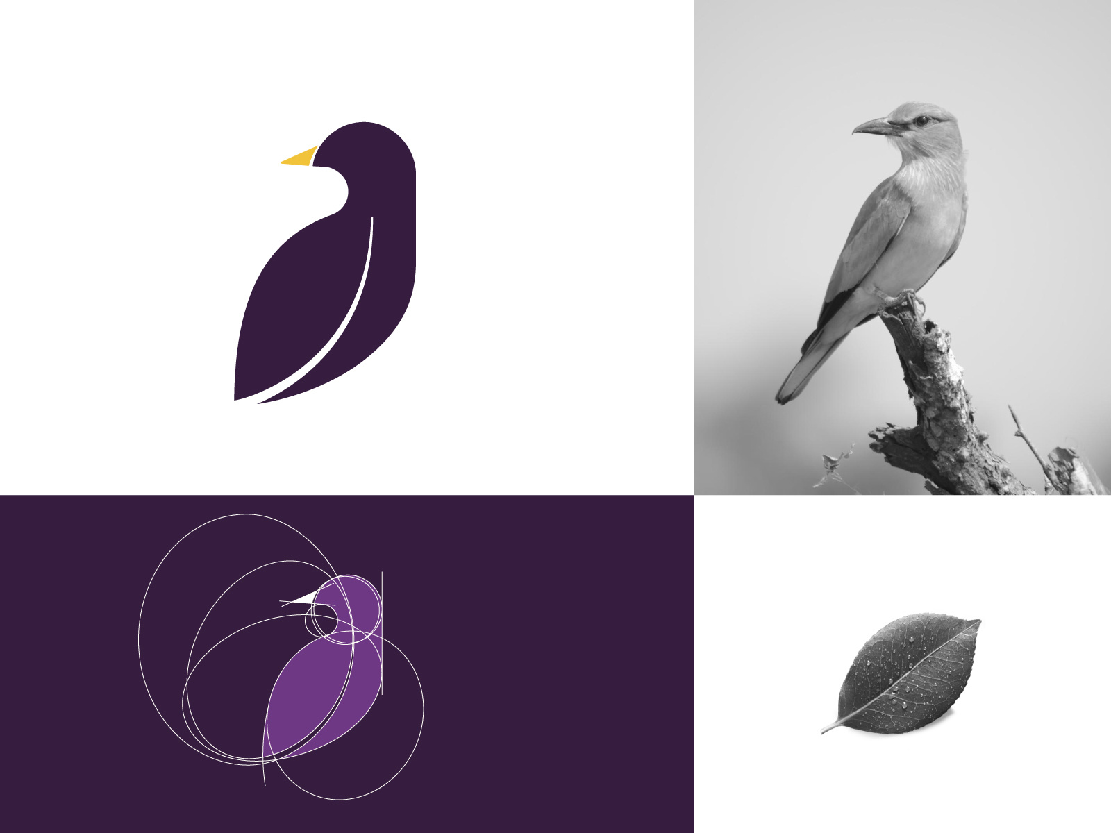 Bird + Leaf by Next Mahamud on Dribbble