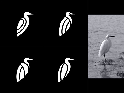 Egret modern concept