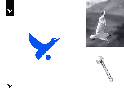Bird + setting Concept