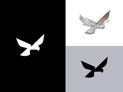 Hawk Bird abstract animal bird birdlogo branding creative design eagle geometric gridlogo hawk lettermark logo logoconcept logofolio logogrid logomaker logotype minimal nextmahamud