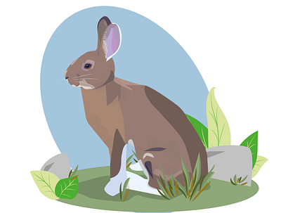 Rabbit 2 animal art animal illustration animals art design graphic design illustration illustrator rabbit rabbits vector web