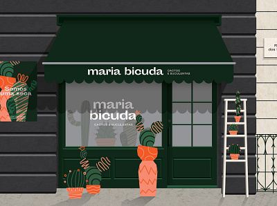 Branding for Maria Bicuda brand brand identity cactus illustration logo