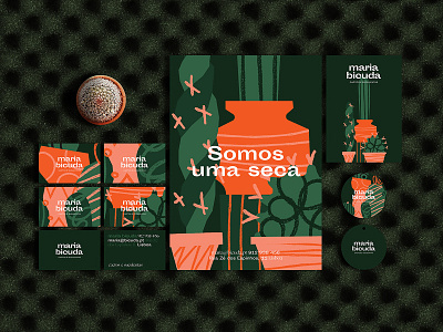 Branding for Maria Bicuda