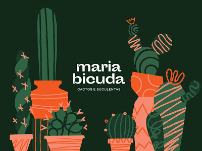 Branding for Maria Bicuda brand design branding branding concept cactus illustration logo