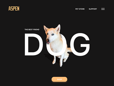 ASPEN hero illustration landing page ui ux