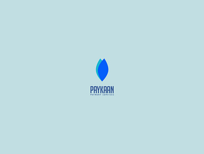 PAYKAAN Payment Services brand brand identity branding branding design logo payment photoshop typography