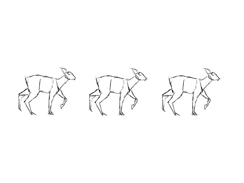 Herd Loop framebyframe