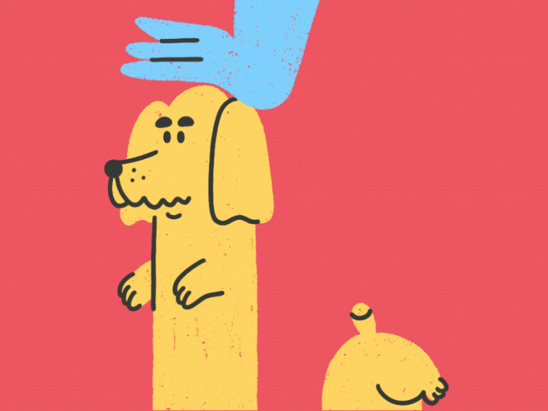 Pet a dog animal animation dog gif illustration pet procreate