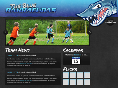 The Blue Barracudas Website