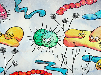 Bacteria & Fungi bacteria explained fungi netflix skin vox