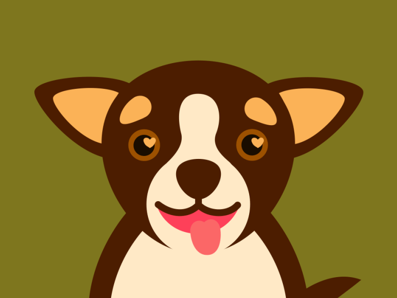 Moody pup chihuahua dog happy mad mood swing puppy