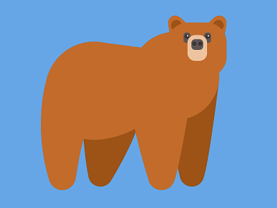 Fluffy Bear animal bear brown fluffy