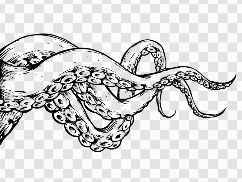 animation of drawn tentacles with transparency advertising animated animation branding design draw hand drawn illustration ink logo loop looped motion transparent video