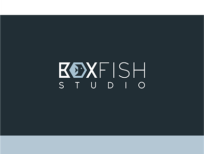 BOXFISH LOGO design illustration minimal ui web