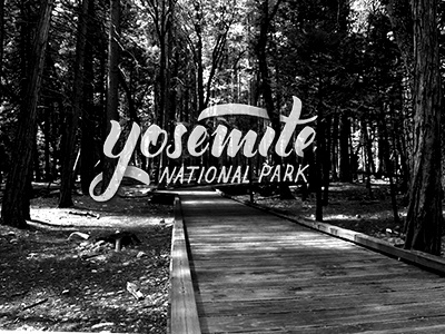 Yosemite National Park branding lettering logotype nationalpark park photography typography yosemite