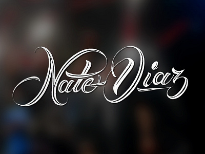 Nate Diaz branding diaz fighter lettering typography ufc