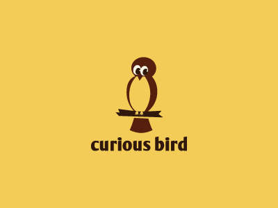 Curious Bird