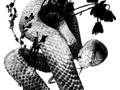 Snake drawing flowers illustration pencil pencil drawing snake