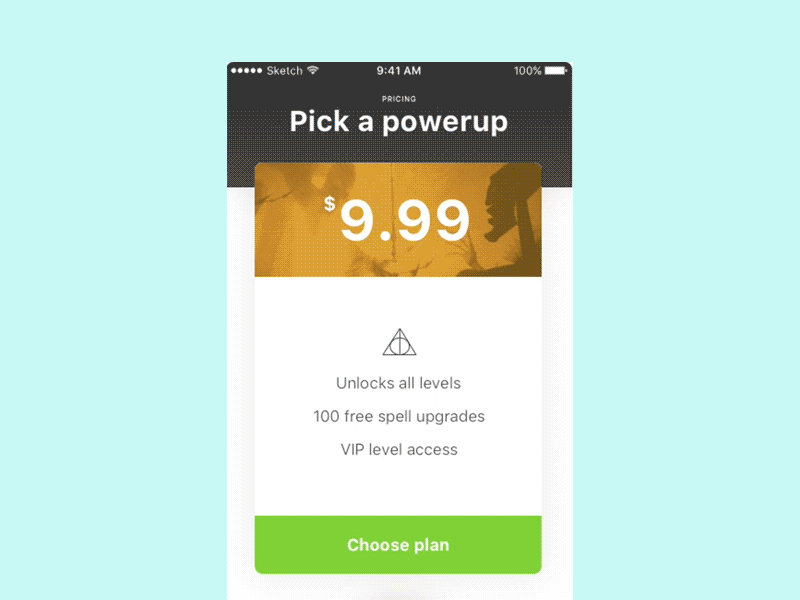 Pricing carousel carousel daily dailyui harry hogwarts mobile potter pricing ui