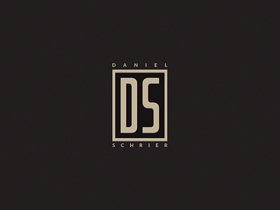 DS branding design ds lettering logo mark personal