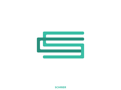 CS branding cs logotype type