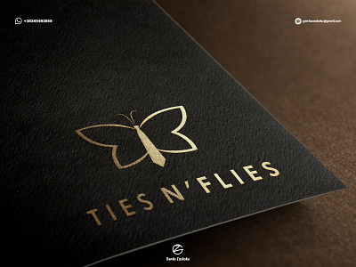 Logo for Ties n'Flies Company brandin branding design illustration logo logodesign vector