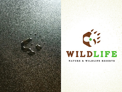 I spilled my coffee and... accident bear coffee design flower logo nature paw reserve spill wildlife zoo