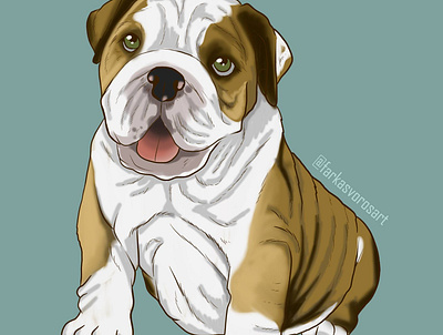 bulldog caricature cartoon childrens book digital illustration pet