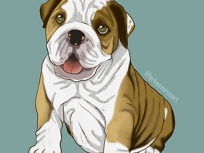 bulldog