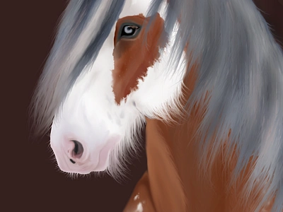 Gypsy childrens book digital equine illustration nature realistic drawing