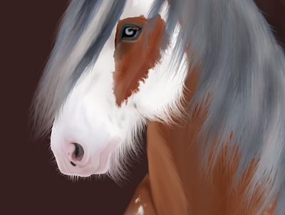 Gypsy childrens book digital equine illustration nature realistic drawing