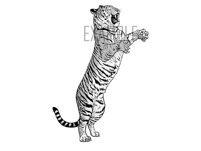 The Tiger (T-Shirt Design)